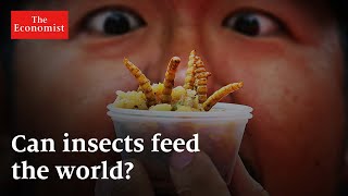 Will you be eating insects soon? | The Economist